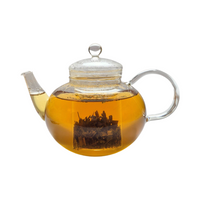 Teekanne aus Glas mit flüssigem Zitrone Brennnessel Minze Kräutertee und losem Kräutertee