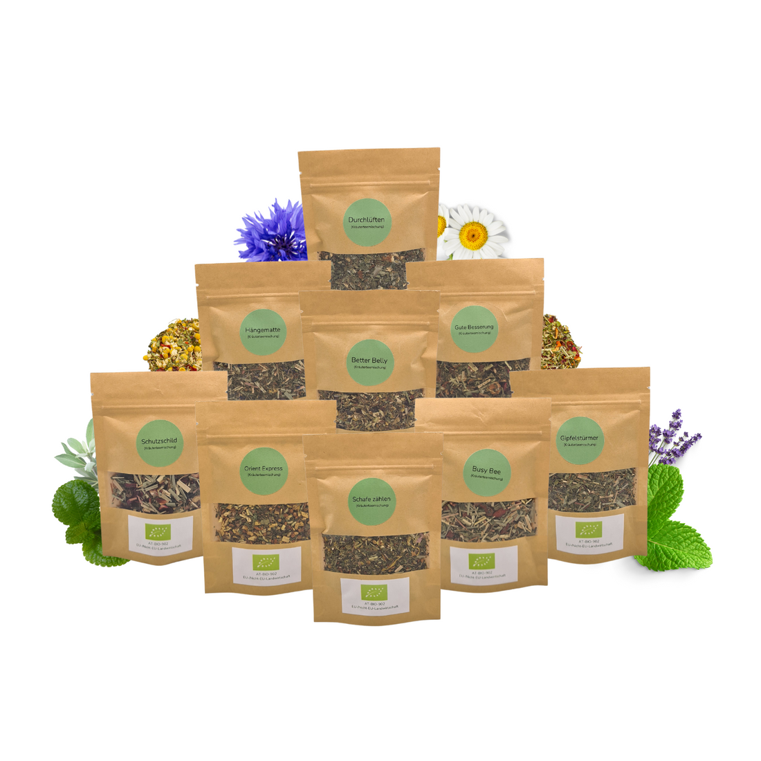 Der Geheimtipp Tee Probierset Kräutertees
