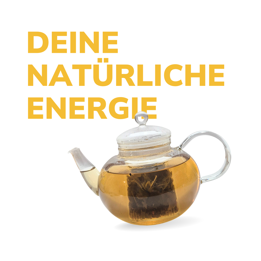 BIO Tee Energie-Bundle