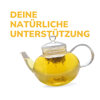 BIO Tee Gesundheits-Bundle