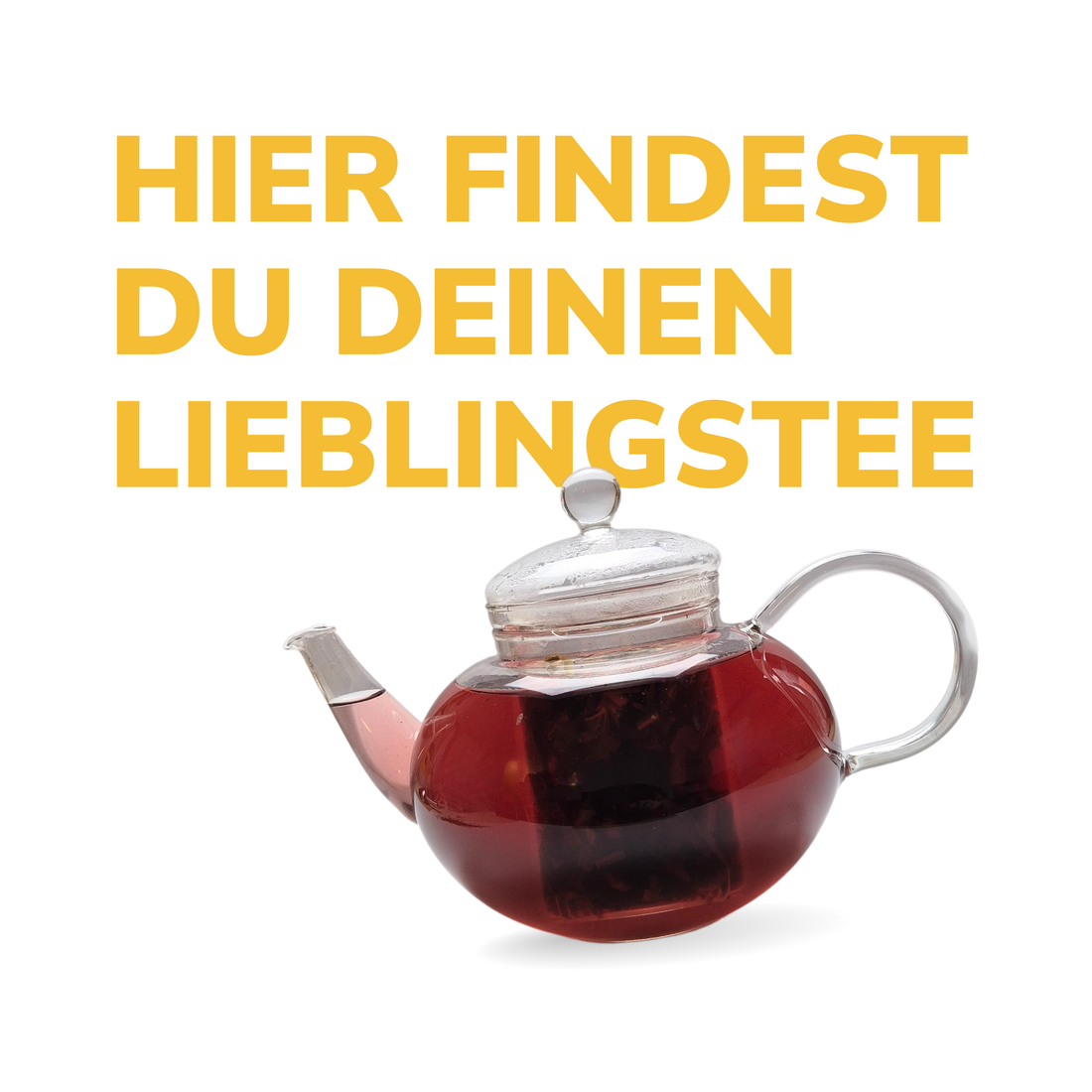 Kleines BIO Tee Probier-Bundle mit Teefilter